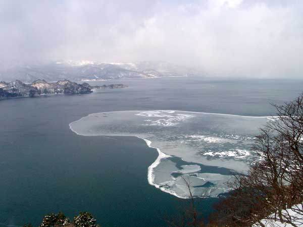 20010310Dsc01542b.jpg (23130 oCg)