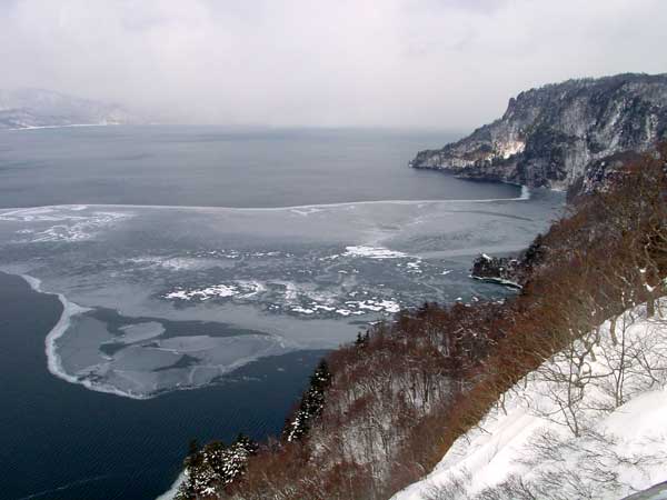20010310Dsc01547b.jpg (31033 oCg)
