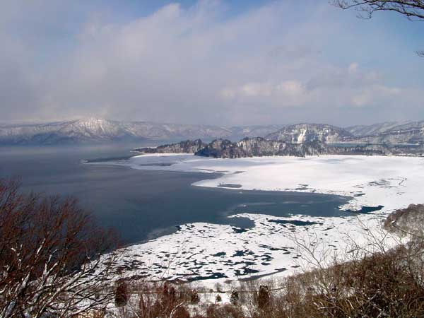 20010312Dsc01592b.jpg (35629 oCg)