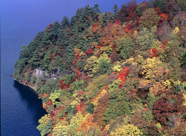 CX1641y200102402b.jpg (147567 oCg)
