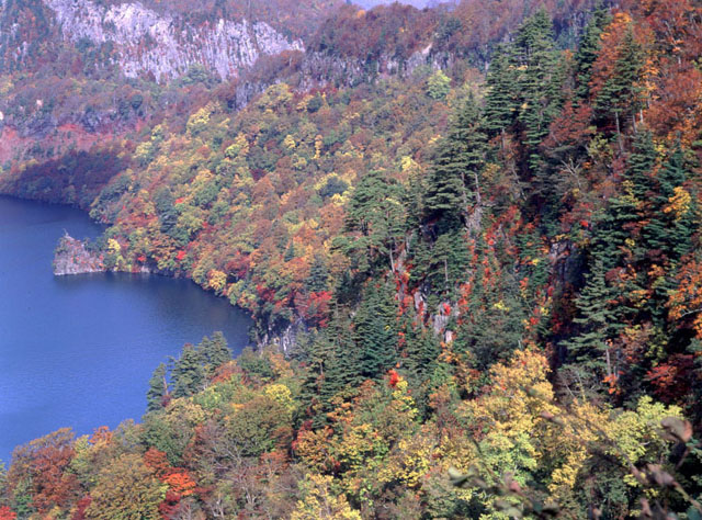 CX1641y200102412b.jpg (148314 oCg)