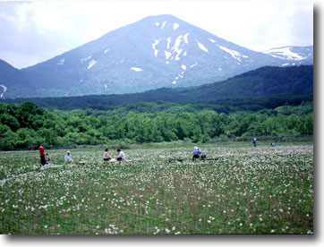 CX1730061210.jpg (32120 oCg)