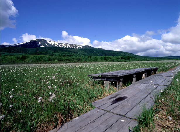 CX1732060512B.jpg (84609 oCg)