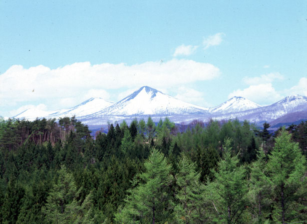 CX3784050804B.jpg (67994 oCg)