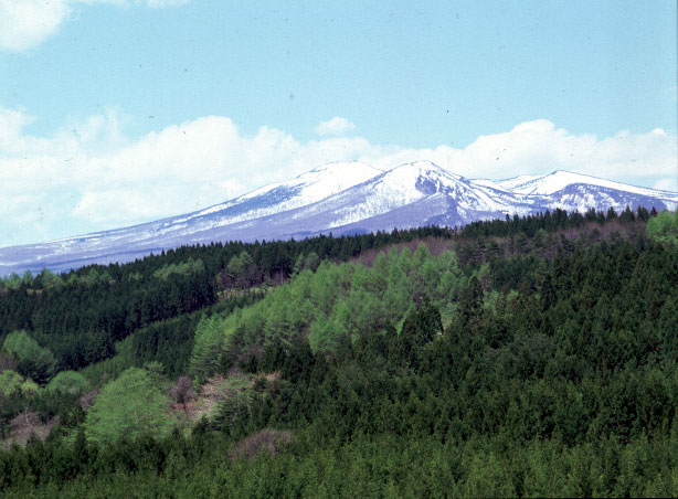 CX3784050806B.jpg (68471 oCg)