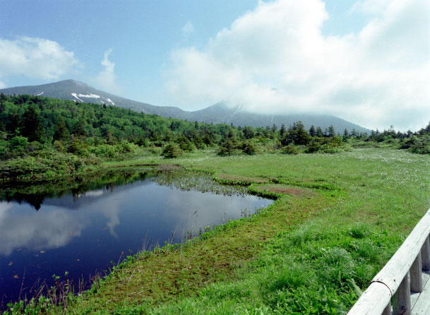 CX990620b05B.jpg (73863 oCg)