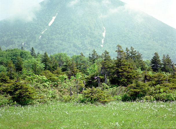CX990620b23B.jpg (99006 oCg)