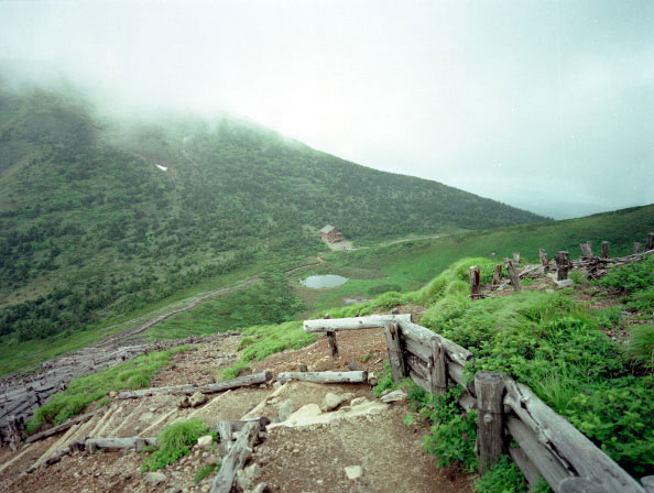 CX990717b17b.jpg (70100 oCg)