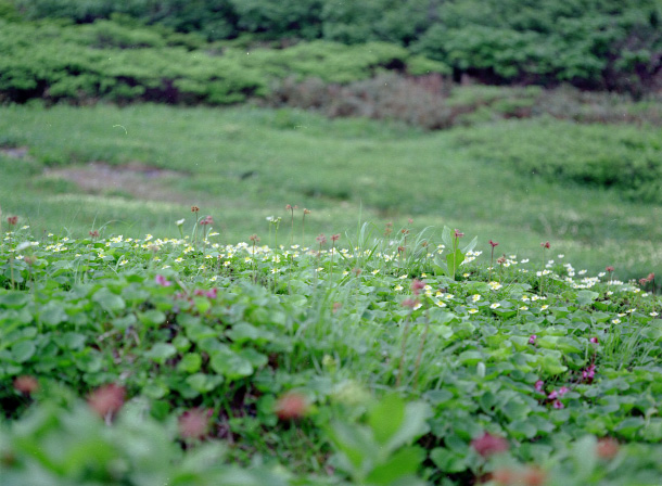 CX990717d32b.jpg (128643 oCg)