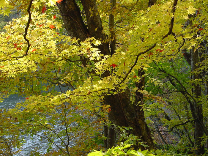 DSC00676y2001024.jpg (207310 oCg)