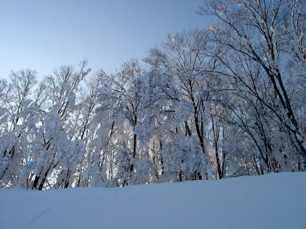DSC00996L.jpg (85318 oCg)