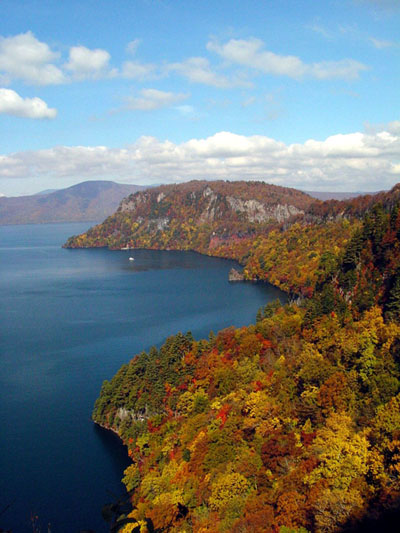 Dsc00613y2001024.jpg (70294 oCg)