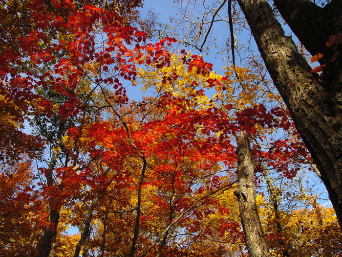 Dsc00627y2001024.jpg (243185 oCg)